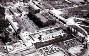 Tiaret - Jumenterie vue d'avion